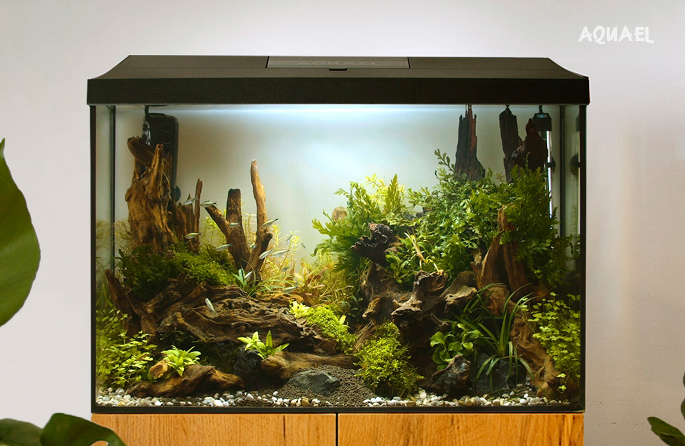 Аквариум на 60 - 80 литров