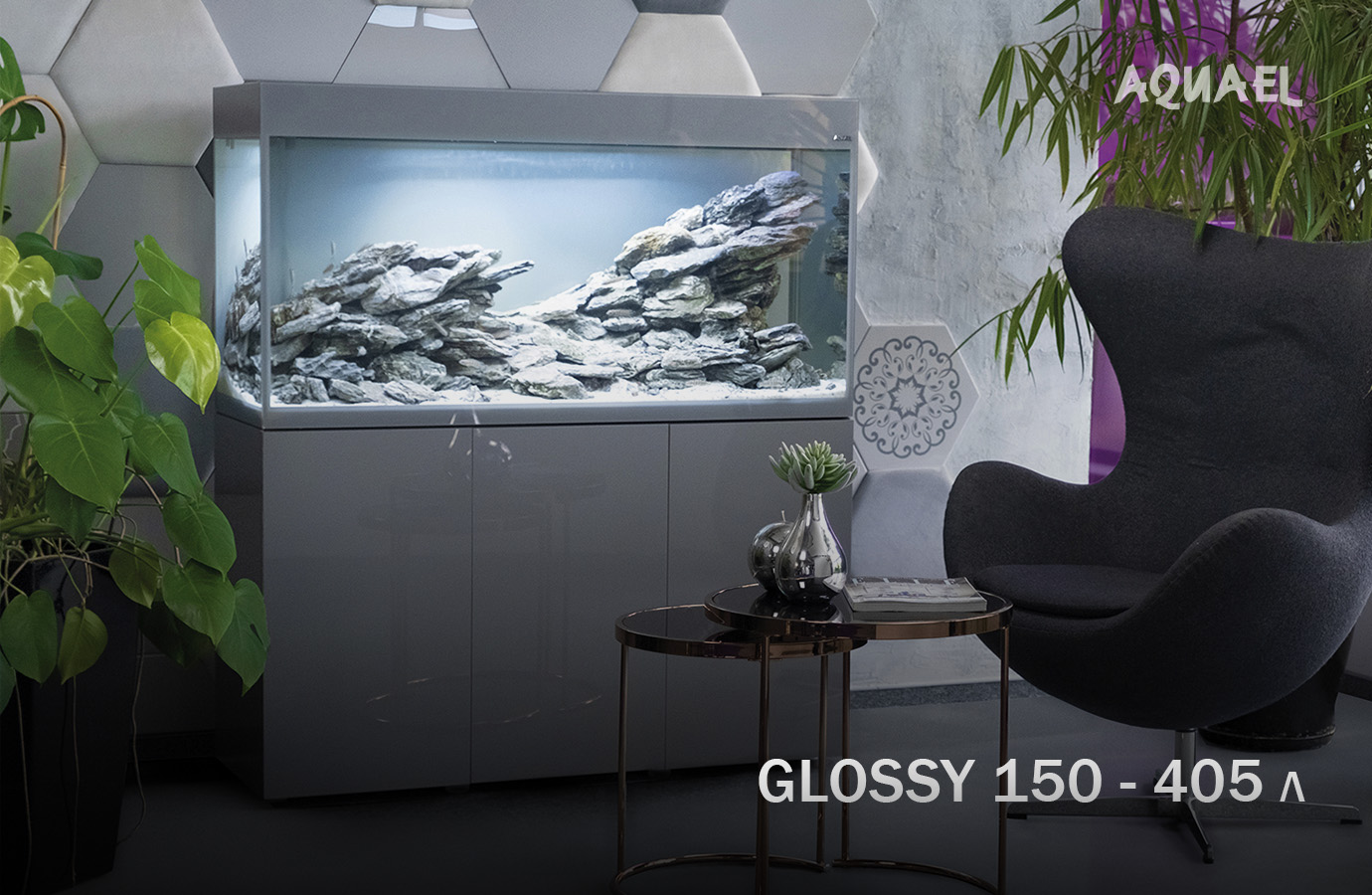 Идеальный аквариум для золотой рыбки