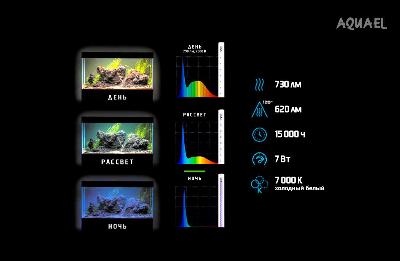 Режимы освещения для аквариума