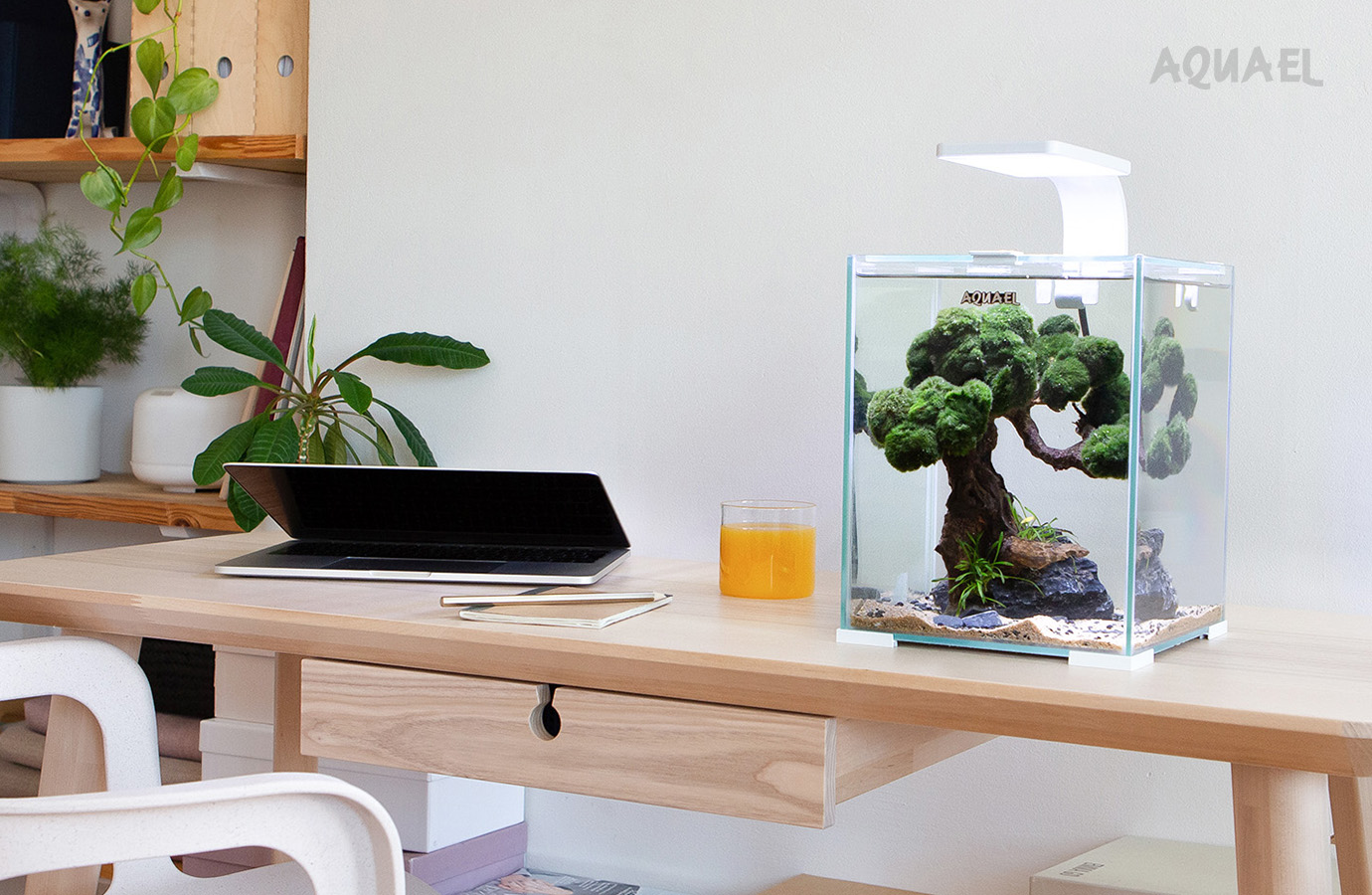 Наноаквариум Aquael