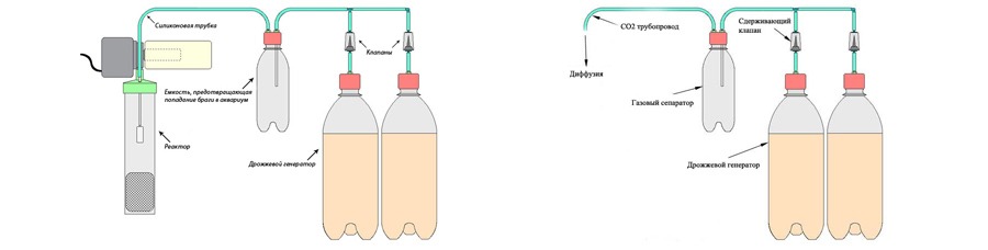 Биологический способ подачи углекислого газа в аквариум