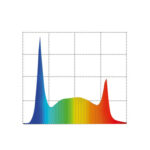 Спектрограмма PLANT 9000 K