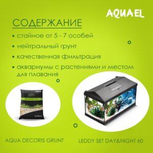 Аквариум для Барбуса