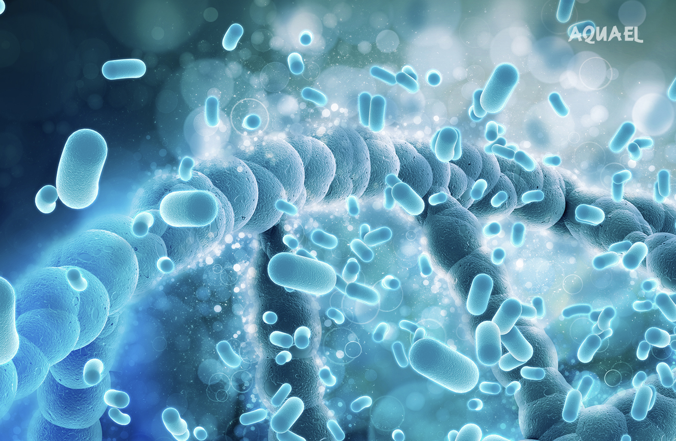 Поддержка чистоты