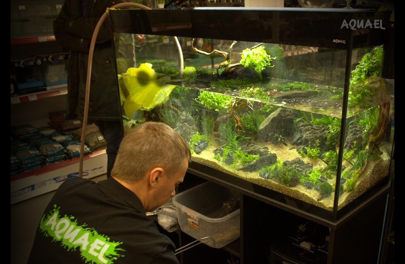 Подмена воды в аквариуме