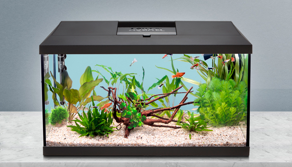Аквариум для рыбок