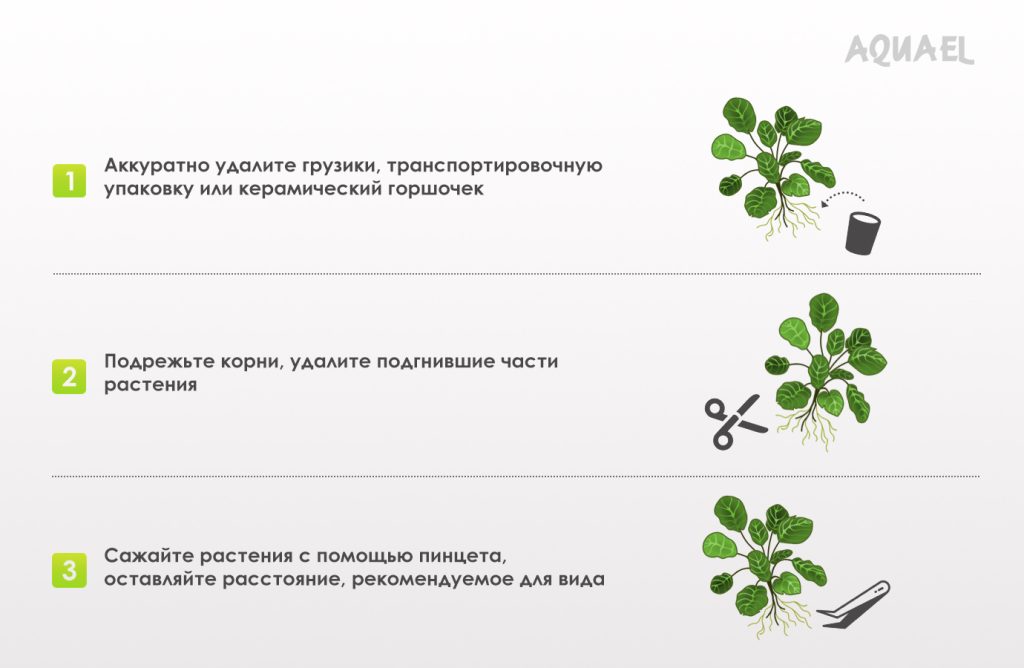 Порядок удаления грузов после посадки