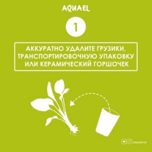 Этап 1. Убрать упаковку