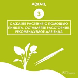 Этап 3. Использовать пинцет для посадки в грунт