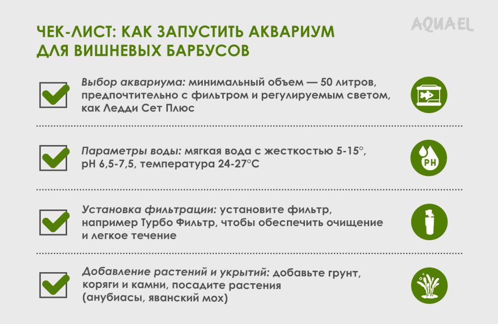 Чек лист вишневый барбус Часть 1.