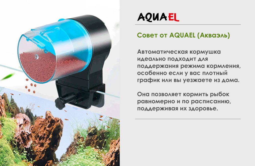 Автоматическая кормушка