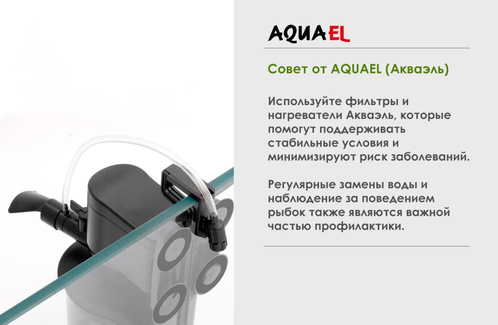 Крепление фильтра на стенку аквариума