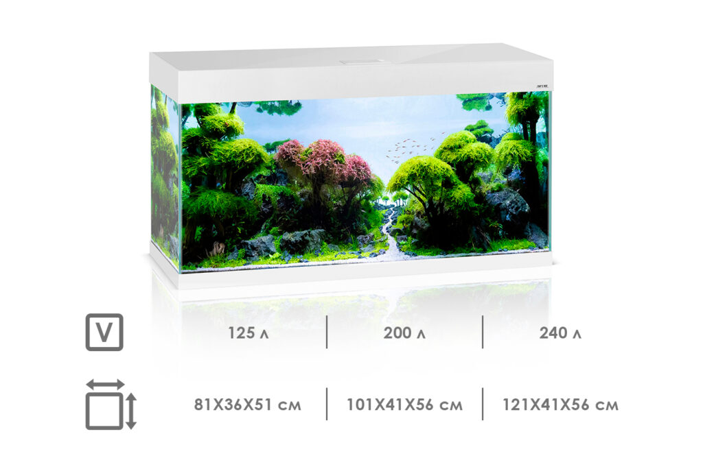 Аквариум для стайных рыбок неонов