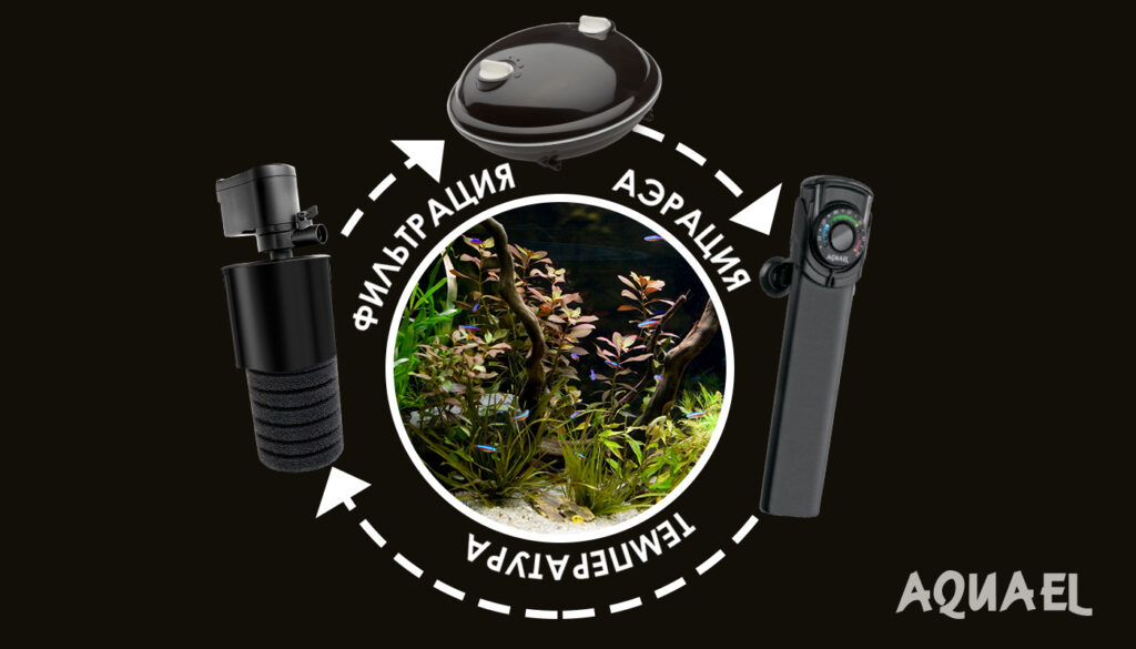 Оборудование для аквариумных рыбок неонов