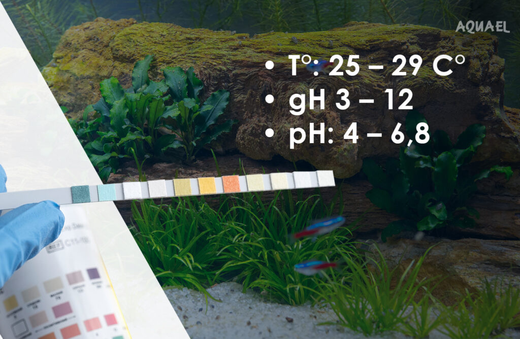 Параметры воды для неона