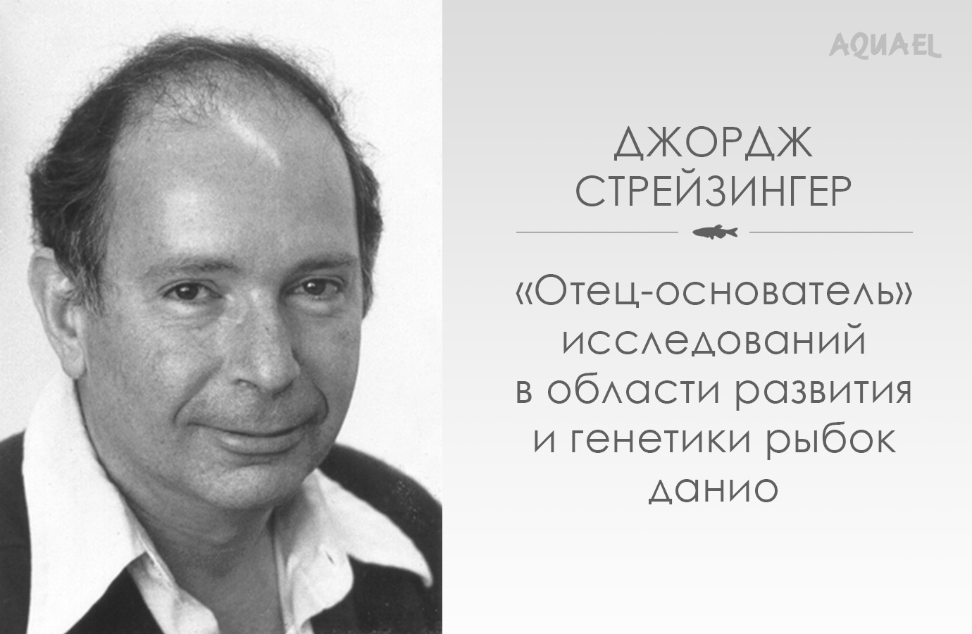 США Джордж Стрейзингер