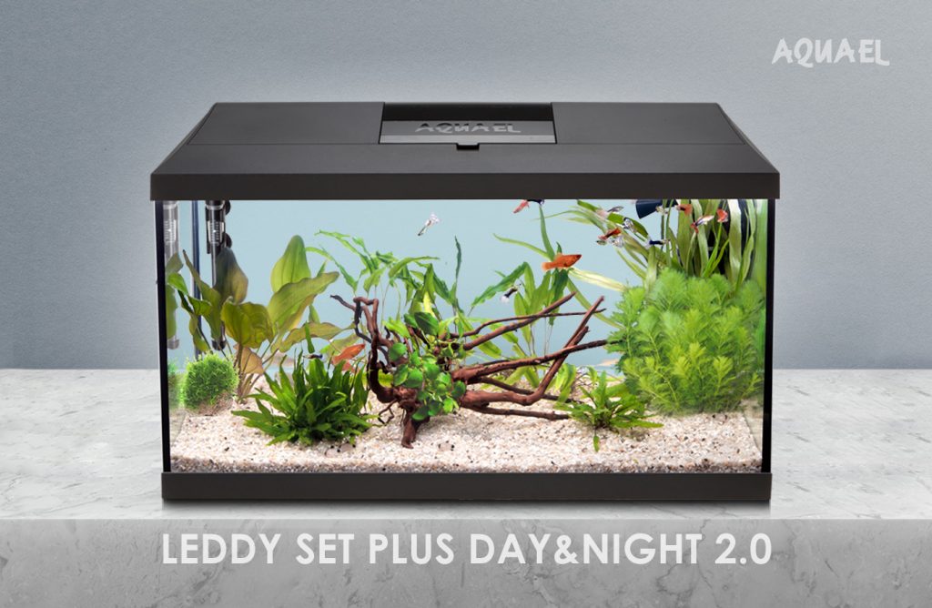 Аквариум более 50 литров