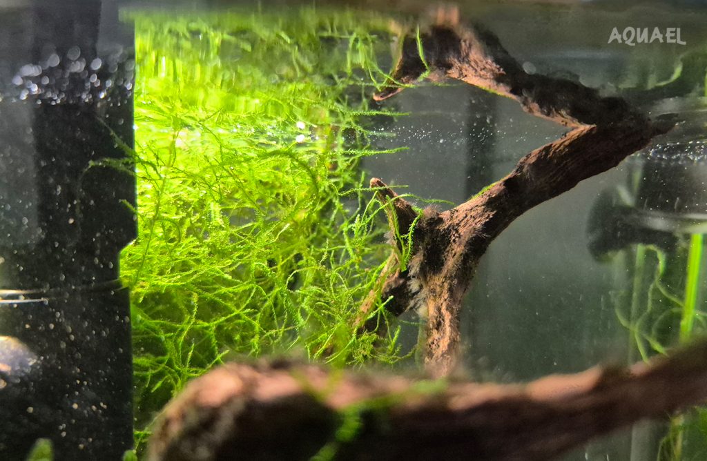 Светопроницаемость