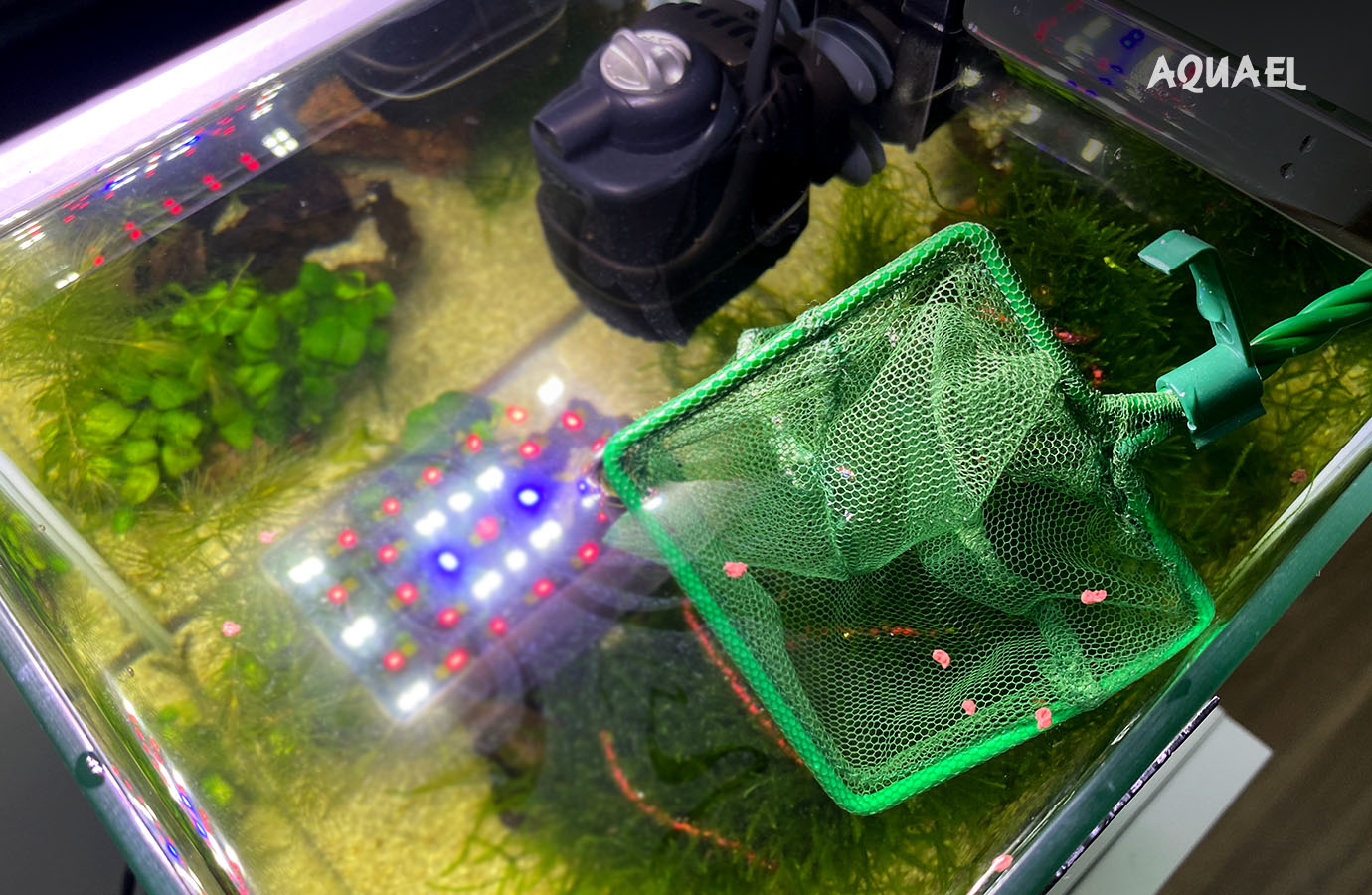 Уборка лишнего корма сачком