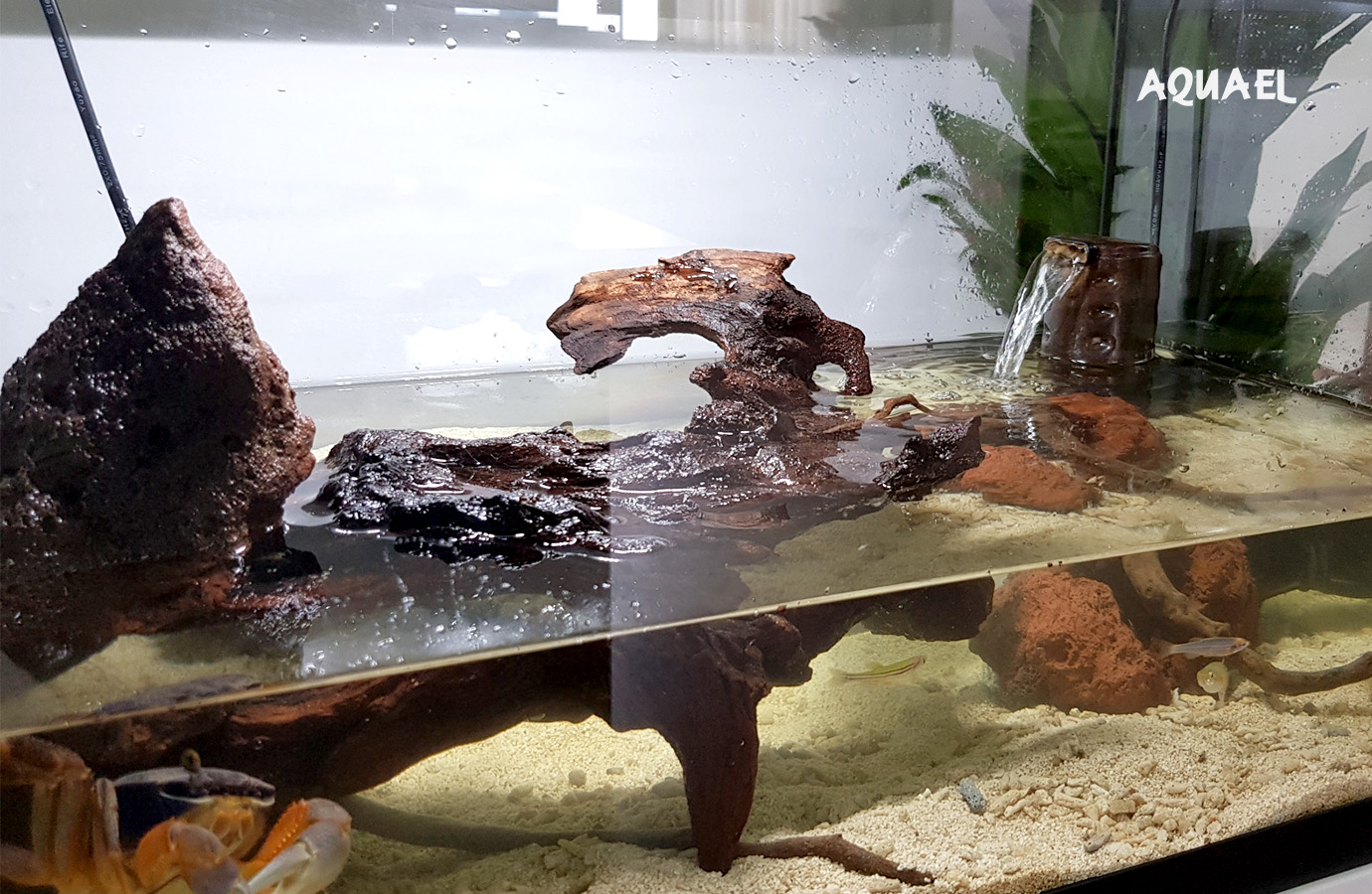 Пример Террариума