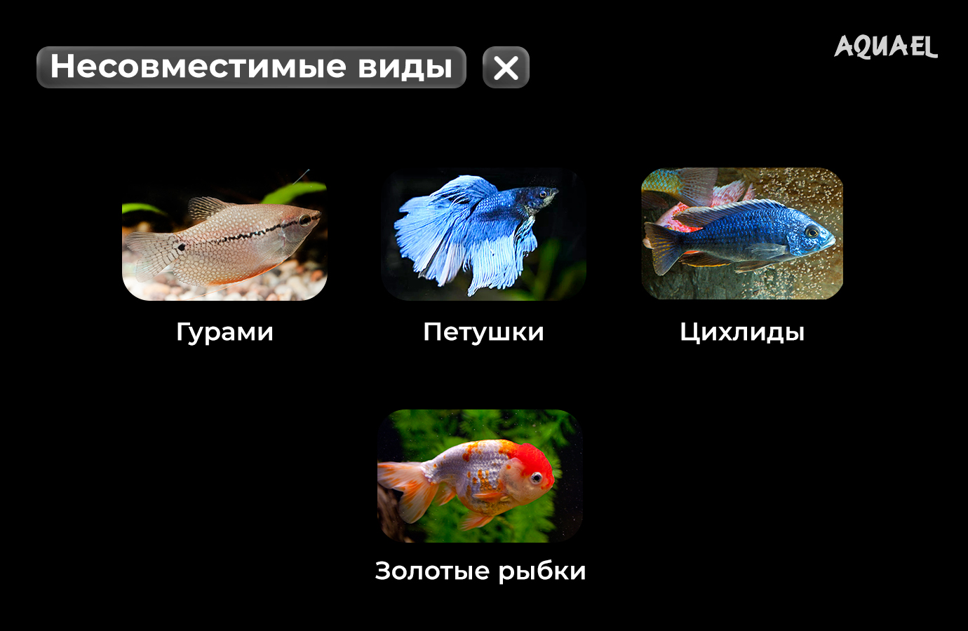 Несовместимые виды