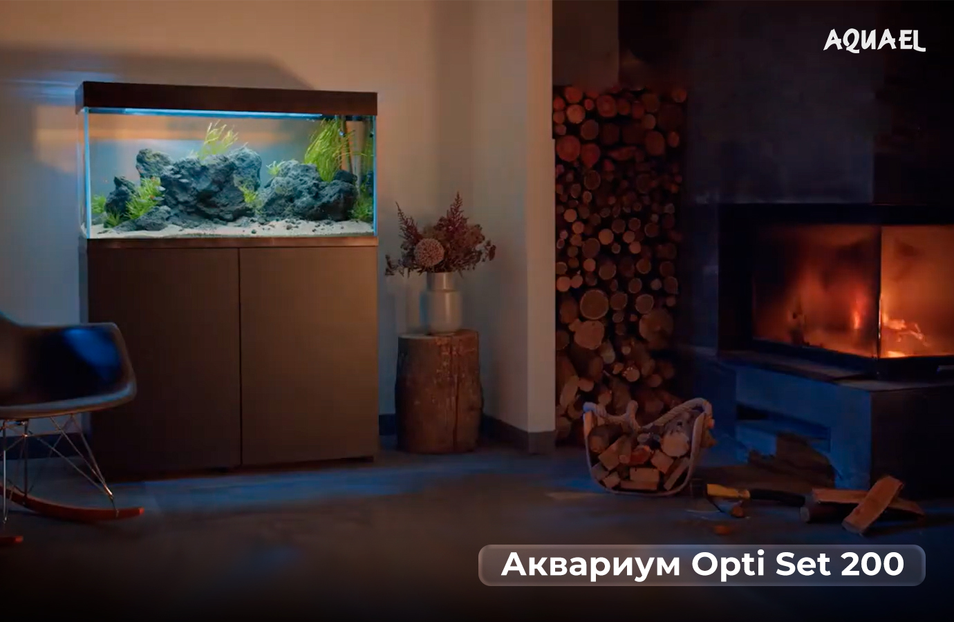Аквариум для огненного барбуса
