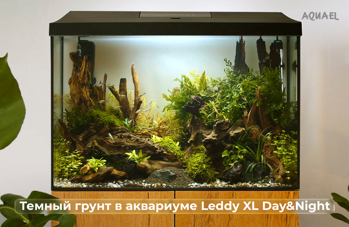 Аквариум дей найт