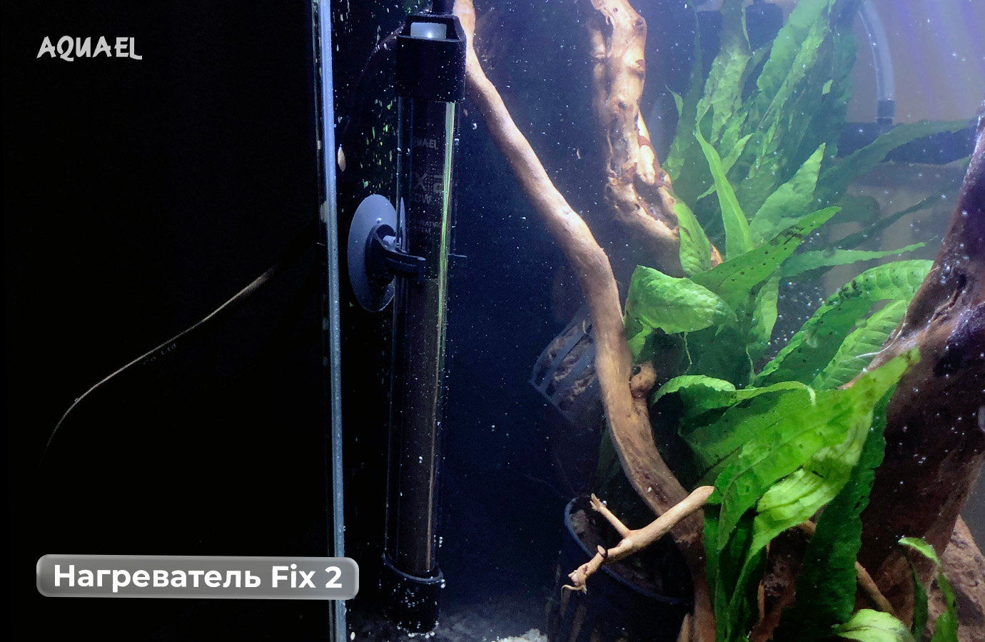 Вариант крепления aquael fix 2