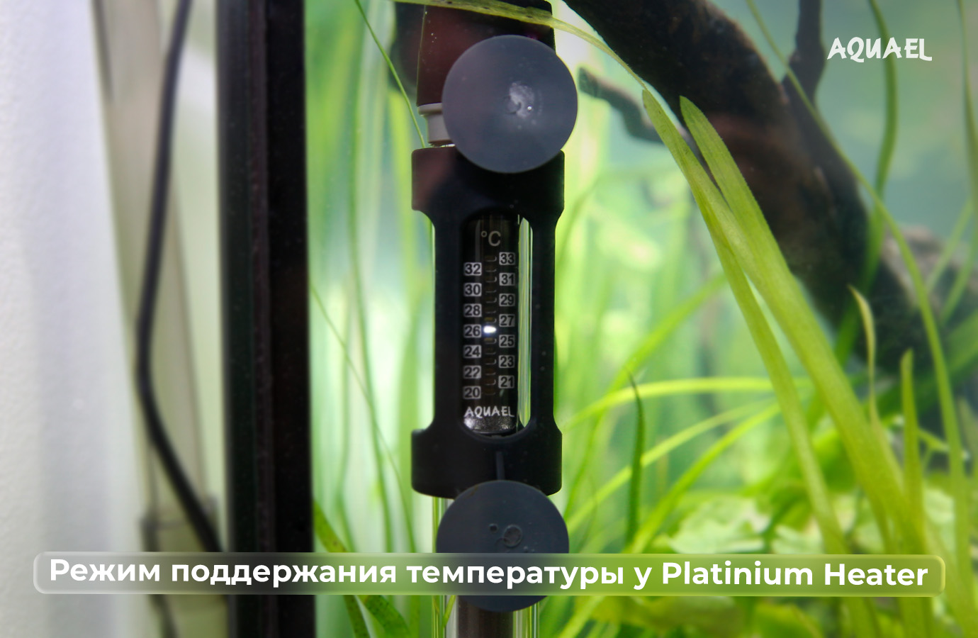 Режим поддержания температуры в аквариуме